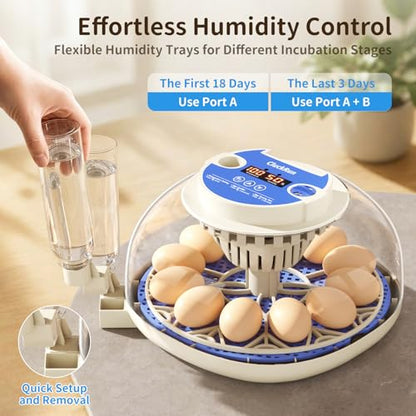 12 Egg Incubators for Hatching Eggs, Temperature and Humidity Control, Automatic Egg Turning, Egg Candler, Automatic Water Refill, for Chicken, Quail & Duck Eggs, Perfect for Home, Farm, Classroom - size: 12 Eggs