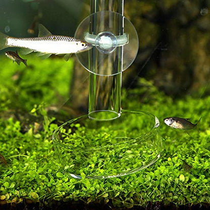 Shrimp Feeder Glass Feeding Dish Aquarium Fish for Tank Reptiles Round Clear Food Bowl 3.9" 3.5" 3.2" 3.0" 2.6" 2.4" Tra Aquarium Heater Light Thermometers Gravel Sand Decorations