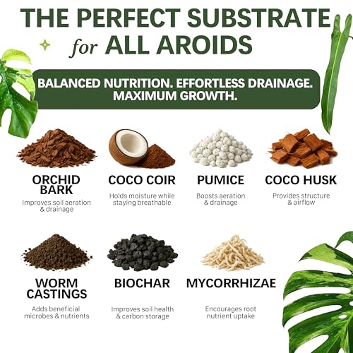 Premium AROID Soil Blend for Monstera, Philodendron, Alocasia, Anthurium – Chunky, Optimally Aerated Soil – Organic & Ready to Use – Supercharges Root and Foliage Growth - (2QTS) - size: 2 QTS