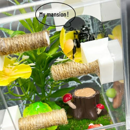Jumping Spider Enclosure,DIY Insects Habitat,Small Reptile Terrarium Glass House Accessories Set,with Jumping Platform Hide Climbing Net(Green 2) - color: Green 2