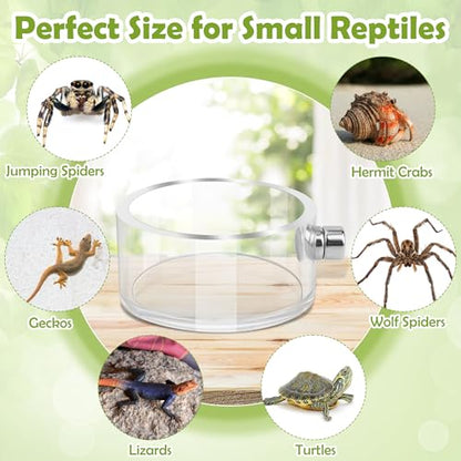 6 PCS Jumping Spider Feeding Dish Set, Anglecai 2 PCS Magnetic Food Dish for Jumping Spider Water Bowl with 1 Tweezer, 1 Dropper, 2 Brushes