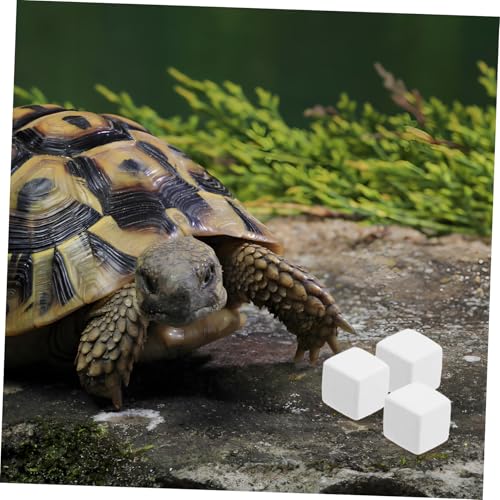 balacoo 6pcs Natural Mineral Block for Reptiles and Crustaceans Essential Snack for Aquariums Prolonged Mineral Release Safe and Health for Lizards and Crabs