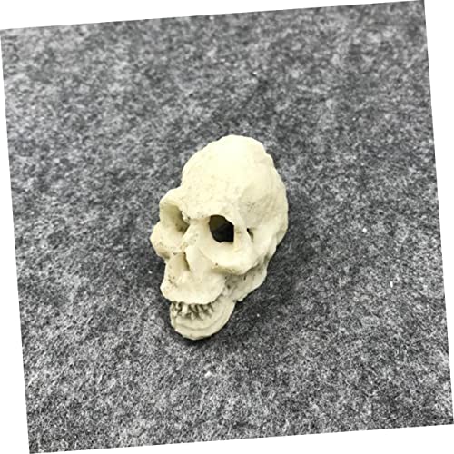 Gecko Tank Accessories 2pcs Mini Skulls for Aquarium Human Skull Aquarium Decoration Reptile Tank Decor Style