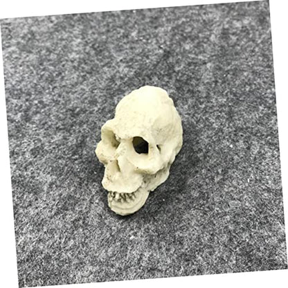 Gecko Tank Accessories 2pcs Mini Skulls for Aquarium Human Skull Aquarium Decoration Reptile Tank Decor Style