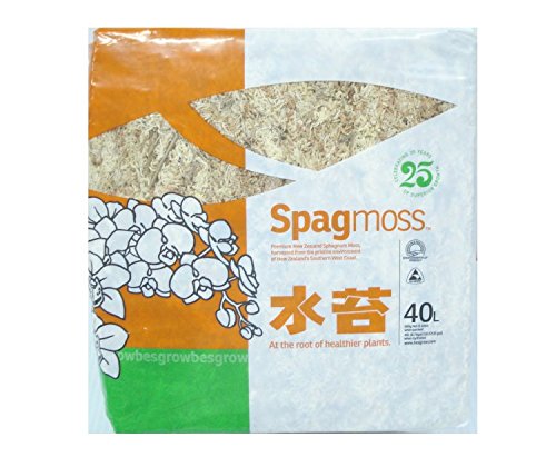 besgrow Spagmoss Premium New Zealand Sphagnum Moss AA Grade (500 Gram) - size: 500 Gram