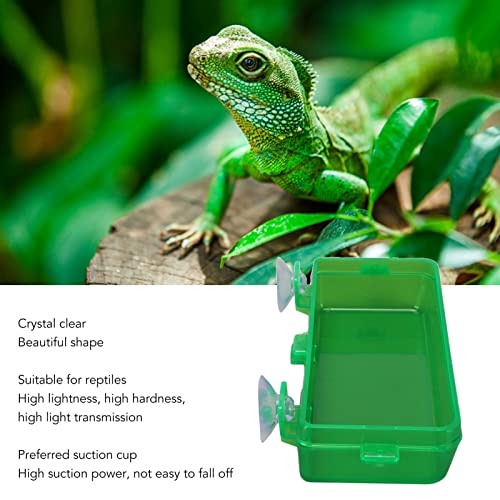 Reptile Water Bowl, Chameleon Feeder Reptile Feeding Feeder Suction Cup Feeder Reptile Feeding Dish Reptile Feeding Food Water Bowl for Gecko Lizard (Large Size 26inch)