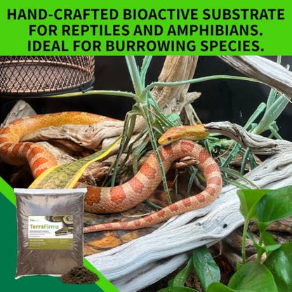 The Bio Dude Terra Firma Reptile Substrate 36 quarts for terrariums and vivariums. Bioactive Habitat Substrate for Ball Pythons, kingsnakes, milksnakes, arachnids and Lizards