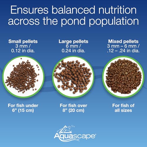 Aquascape Premium Staple Pond and Koi Fish Food, Mixed Pellet Size, 1.1 Pound (500 g), 81050 - size: 1.1 Pound (Pack of 1)