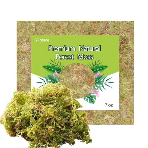 7 oz Natural Orchid Moss for Potted Plants, Nice Soilless Potting Soil for Seedling and Cutting, Good Idea for Reptile Terrarium, Crafts, Garden Decoration - size: 7oz