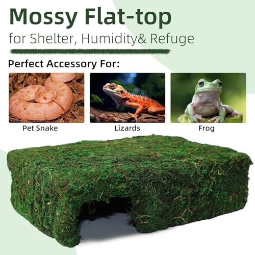 Mossy Cave Hide for Reptiles, Lizard Moss Hideout with Safe Shelter, Snake Cave Hut for Themed Terrarium Ideal for Gecko Hamster Snake to Rest & Hide