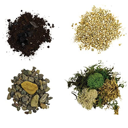 Cute Farms Terrarium Starter Kit | Moss, Vermiculite, Soil, Pebbles, Plant Food, Finishing Tools, Build and Care Guide | DIY Succulent Terrarium for Adults and Kids (Large) - size: Large Kit