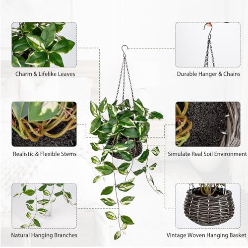 Oairse Artificial Hanging Plants Fake Hanging Plants with Pots Faux Golden Pothos N‘ Joy Potted Plant Wall Plant with Basket Pot for Wall Shelves Bedroom Bathroom Indoor Outdoor - color: Golden Pothos