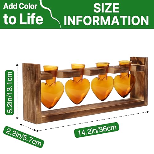 Plant Propagation Stations Heart Plant Terrarium Kit Gift for Women Plant Lover Glass Vases - color: Amber