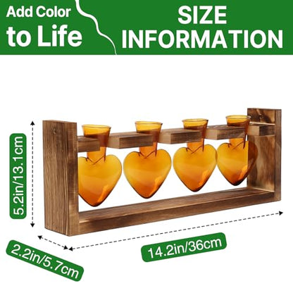 Plant Propagation Stations Heart Plant Terrarium Kit Gift for Women Plant Lover Glass Vases - color: Amber