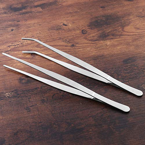 VORCOOL Stainless Steel Straight and Curved Nippers Feeding Tongs for Reptile Snakes Lizards Spider 2 Pcs Silver