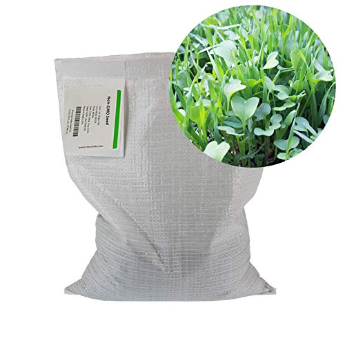 Mountain Valley Seed Co No-Till Garden Farm and Garden Cover Crop Mix Seeds | 5 Lbs - Blend of Gardening Cover Crop Seeds: Hairy Vetch, Daikon Radish, Forage Collards, Triticale, More - size: 5 lbs