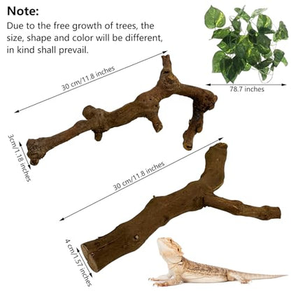 VCEPJH Snake Climbing Branch, 2Pcs Reptile Wood Natural Cork Log Tank Accessories Tree Trunk for Chameleon Bearded Dragon Gecko Snake Frog Spider(11.8 inches) - size: Grape Wood (S:11.8"-2pcs)