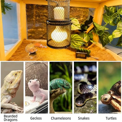 kathson Retractable Reptile Heat Lamp Guard,Reptile Anti-Scald Mesh Cage Protection Lampshades with Thermometers,Ceramic Heat Emitter Lamp Fixture Holder for Snake Lizard Turtle Frog,Without Bulb - size: 1 PCS | Retractable Reptile Heat Lamp Guard