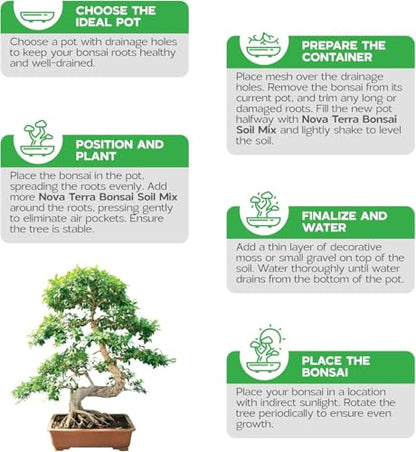 Bonsai Soil Mix Ready to use Tree kit Lotus Seeds for Planting in Water Bonsai pots Wire Tree pots akadama Soil - color: Bonsai Soil
