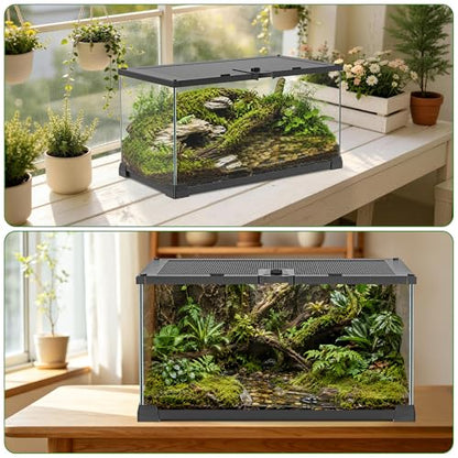 Reptile Terrariums Mini Glass Tank 12" x 8" x 6" Habitat, Top-Opening Mesh Lid with Latch, 360° Clear View, Ventilated Enclosure for Jumping Spiders, Tarantulas, Froglets & Isopods - size: 12" x 8" x 6"