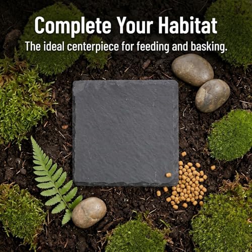 Turtle Basking Platform Slate Reptile Basking Slate Platform for Turtles 3.9 x 3.9 Inch Natural Stone Tortoise Bearded Dragon Lizard Chameleon Gecko Terrarium Accessory