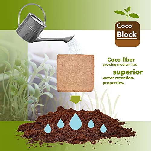 Home and Country Triple Washed Compressed Coco Coir Brick (40 LBS) - Coco Fiber is an Ideal Compost Starter for Your Home Garden. Coco Coir Bricks Provide Organic Alternative to Peat Moss for Plants. - size: 40 Pound