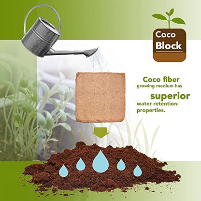 Home and Country Triple Washed Compressed Coco Coir Brick (40 LBS) - Coco Fiber is an Ideal Compost Starter for Your Home Garden. Coco Coir Bricks Provide Organic Alternative to Peat Moss for Plants. - size: 40 Pound