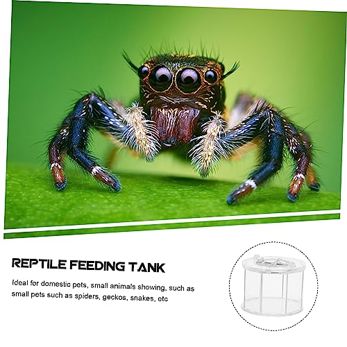 Generic Acrylic Reptile Display Container for Lizards Snakes and Ventilation Lightweight and Portable Feeding Box for Outdoor Use