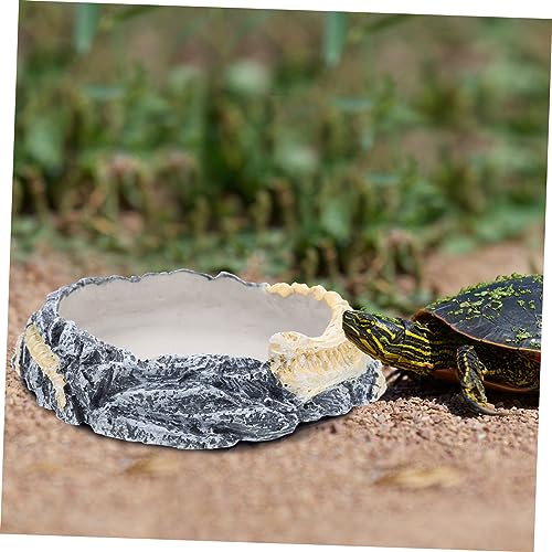 BESPORTBLE Wear-Resistant Decorative Reptile Bowl Water Dish for Turtles Lizards Snakes Feeding Drinking for Reptiles