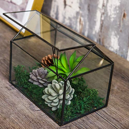 House Shape Close Glass Geometric Terrarium Tabletop Succulent Plant House Garden Planter Moss Fern Swing Lid, Flower Pot for Plants Succulent, Air Plant (Black) - color: Black