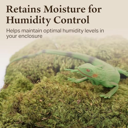 The Habitat Life - Natural Mood Moss - for Reptiles, Amphibians & Invertebrates Terrariums - Moisture-Retaining - Humidity Control - Soft Bedding - Dye-Free & Safe - Medium - 2 Pack - size: Medium (2-Pack), style: Mood Moss