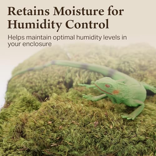 The Habitat Life - Natural Mood Moss - for Reptiles, Amphibians & Invertebrates Terrariums - Moisture-Retaining - Humidity Control - Soft Bedding - Dye-Free & Safe - Small - 2 Pack - size: Small (2-Pack), style: Mood Moss