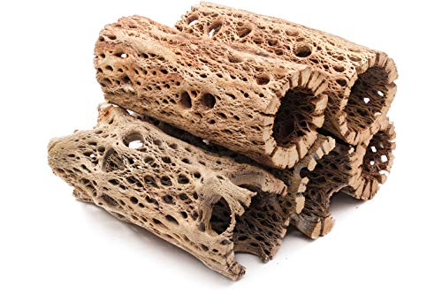 3 to 48 Inch All Natural Teddy Bear Cholla Wood Extra Hollow Large Untreated Organic Aquarium Driftwood Decoration Chew Toy Shrimp Crab Multi-Quantity (5 Pieces, 6 inch) - size: 5 Pieces, 6 inch