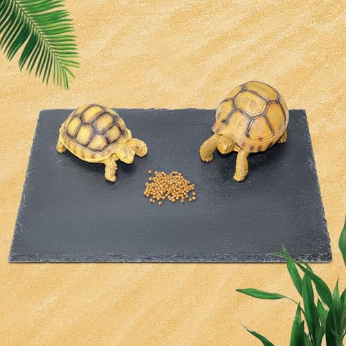 Tortoise Habitat basking Rock Feeding Dish Bearded Dragon/Lizard Original Rock Slab,Easy to Grind the Nails,with Non-Slip mats,Natural Food Bowl,Moisturizing Effect(Large- Size) - size: Large-Size