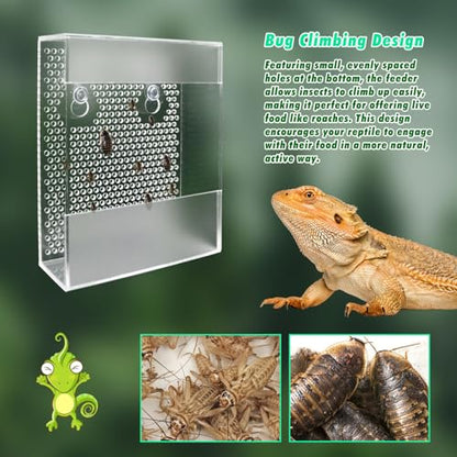 Acrylic Reptile Feeder with Suction Cups, Wall-Mounted Bearded Dragon Food Bowl, Tank Accessories for Bearded Dragon, Gecko, Chameleon, Frog