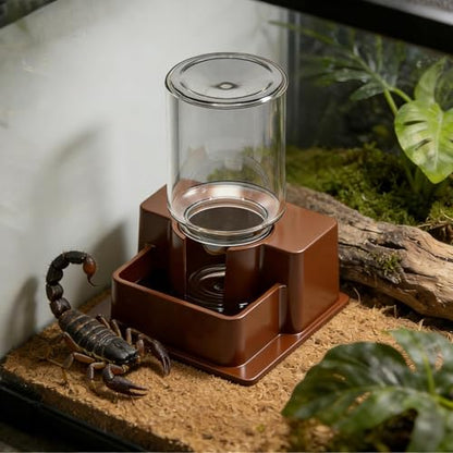 Reptile Automatic Dish - Automatic Reptile Feeder, Crab Water Dispenser | ABS, Bearded Dragon Water Bowl Food Container for Lizard Chameleon Snake Frog Hermit Crab Amphibian Habitat - color: Brown