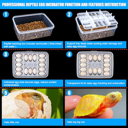 16 Grids Reptile Egg Incubator Box Turtle Lizard Gecko Snake Hatching Container Complete Kit with Tweezers Clip Vermiculite Spray Bottle