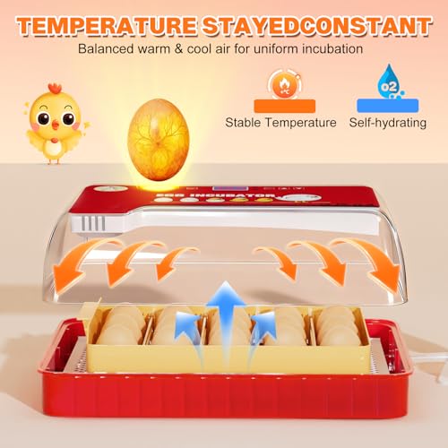 Incubators for Hatching Eggs 15-35 Eggs Incubator with Automatic Egg Turning and ℉Temperature Display LED Candler Poultry Incubator for Hatching Chicken Duck and Quail Incubator