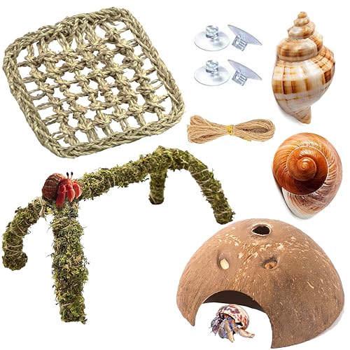Hermit Crab Accessories, Natural Hermit Crab Toys Reptile Hammock,Coconut Shell Hideout Decor for Hermit Crabs Leopard Geckos, Crested, Tortoise, Snake (B-Group -6Pcs Hammock) - color: B-group -6pcs-hammock