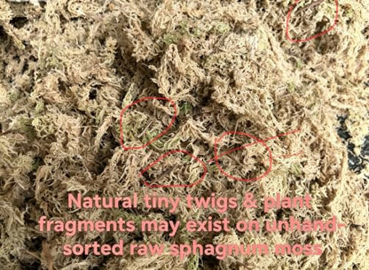 Premium Long Fiber Sphagnum Moss, 8OZ Natural Dried Moss for Reptile Terrarium Substrate, Snake, Gecko, Ball Python, Frog and Orchids