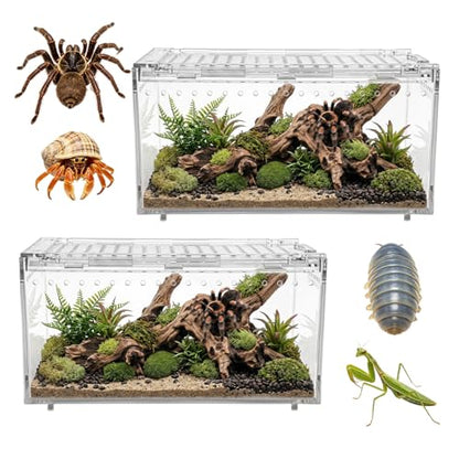 2-Pack Acrylic Terrarium, Large Tarantula Enclosure with Magnetic Lid, Escape-Proof Spider Cage, Hermit Crab Tank, Reptile Habitat for Geckos, Frogs, Isopods
