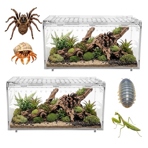 2-Pack Acrylic Terrarium, Large Tarantula Enclosure with Magnetic Lid, Escape-Proof Spider Cage, Hermit Crab Tank, Reptile Habitat for Geckos, Frogs, Isopods