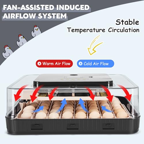 Sailnovo 62 Egg Incubator for Hatching Eggs with Automatic Egg Turning and Auto Humidification, Temperature Control, Egg Candler, Incubator for Chicken Eggs, Gray 20.7'' x 16.14'' x 6.3''