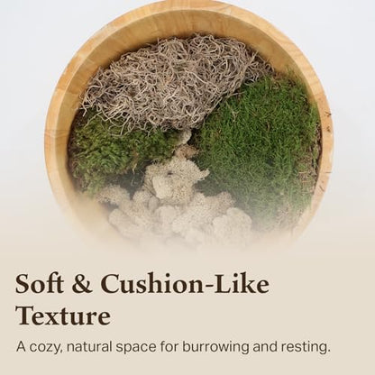 The Habitat Life - Natural Variety Pack - Mix of Reindeer, Mood, Sheet & Spanish Moss - for All Terrariums - Humidity Control - Breathable Bedding - Dye-Free & Safe - Small - 2 Pack - size: Small (2-Pack), style: Variety Pack
