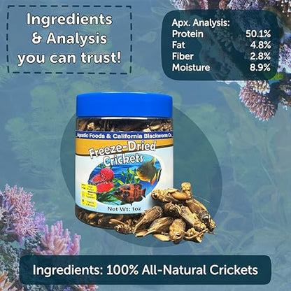 Crickets, Freeze Dried Crickets for Large Tropical Fish, Monster Fish, Reptiles, Turtles, Tortoises, Frogs, Hamsters, Birds, Rodents 1.0oz Canister - size: 1 Ounce (Pack of 1)