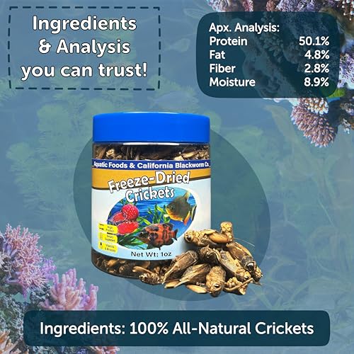 Crickets, Freeze Dried Crickets for Large Tropical Fish, Monster Fish, Reptiles, Turtles, Tortoises, Frogs, Hamsters, Birds, Rodents 3oz Canister - size: 3 Ounce (Pack of 1)