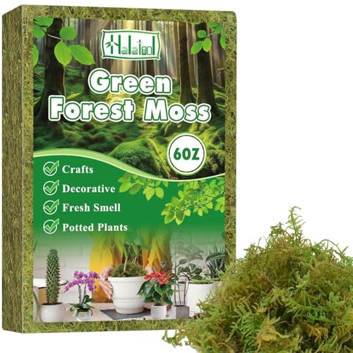 Halatool 6OZ Green Moss for Indoor Plants, 8QT Orchid Moss for Repotting, Forest Moss for Potted Plants, Real Moss for Succulent Carnivorous Houseplant Terrariums Garden Reptiles - size: 6oz