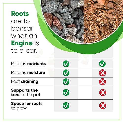 Tinyroots Bonsai Soil Mix - All Purpose Ready to Use Blend for All Varieties of Bonsai Trees, 4.5 Quarts - size: 4.5 Quarts