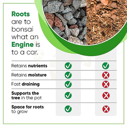 Tinyroots Bonsai Soil Mix - All Purpose Ready to Use Blend for All Varieties of Bonsai Trees, 4.5 Quarts - size: 4.5 Quarts