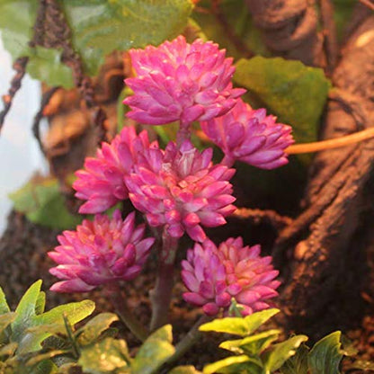 Reptile Plants Artificial Terrarium Plants Reptile Plastic Plants for Reptile Habitats with Base -Purple… - color: Purple